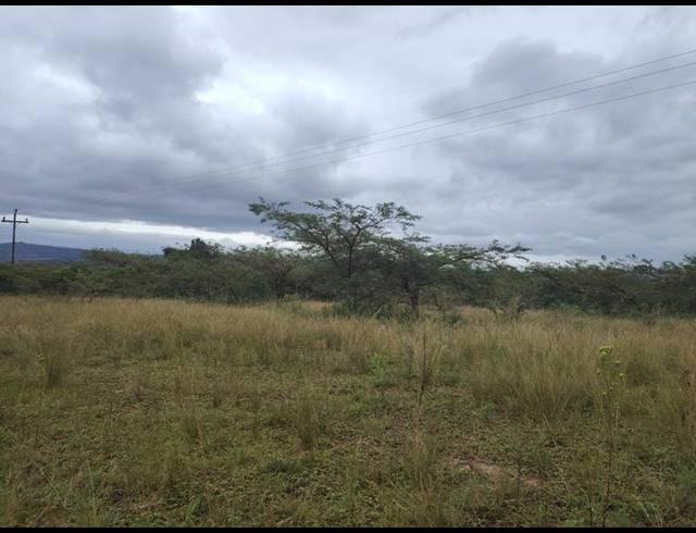 LAND FOR SALE IN CLIFFDALE
